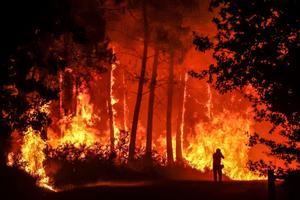 feu de forêt - afp