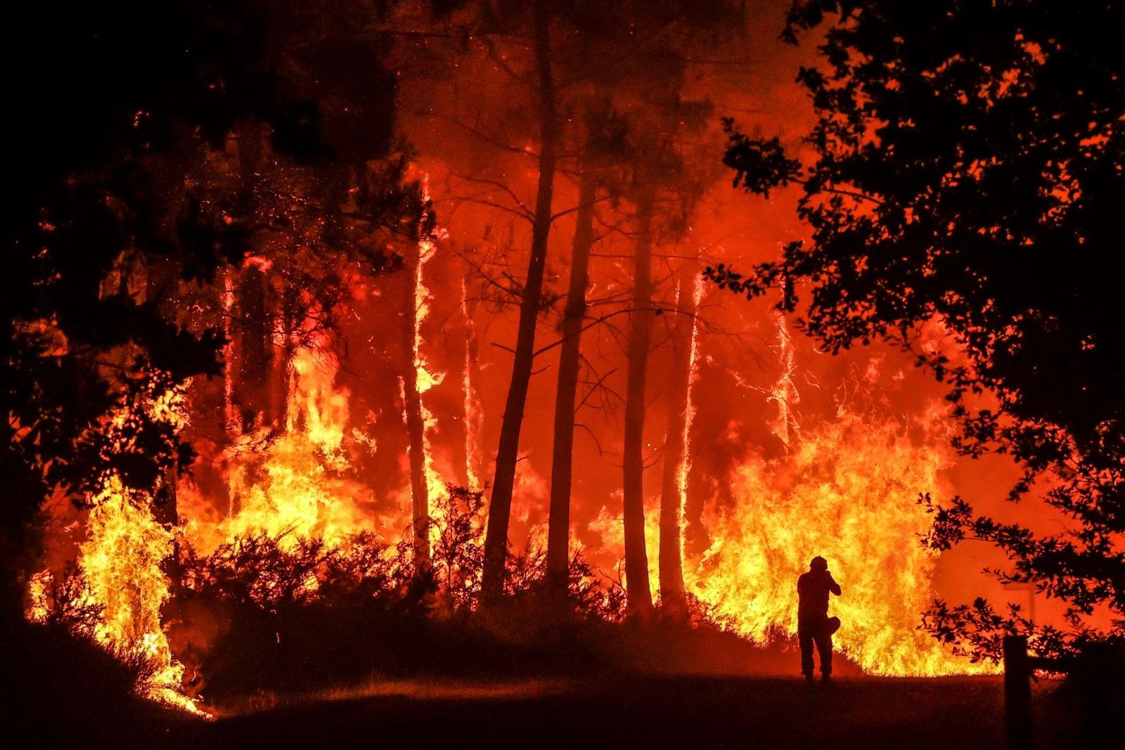 feu de forêt - afp