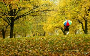 L'automne. (Image d'illustration)