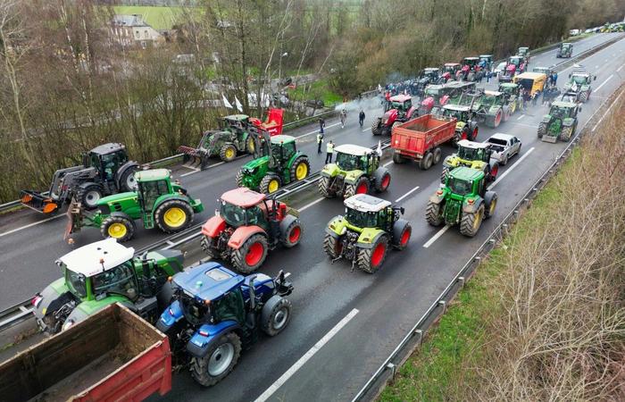 agriculteurs AFP