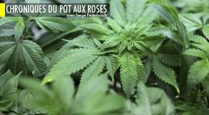 Article cover