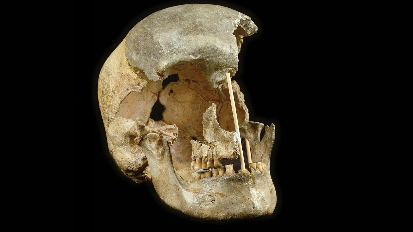 Le crâne d'une femme vieux de 45.000 ans