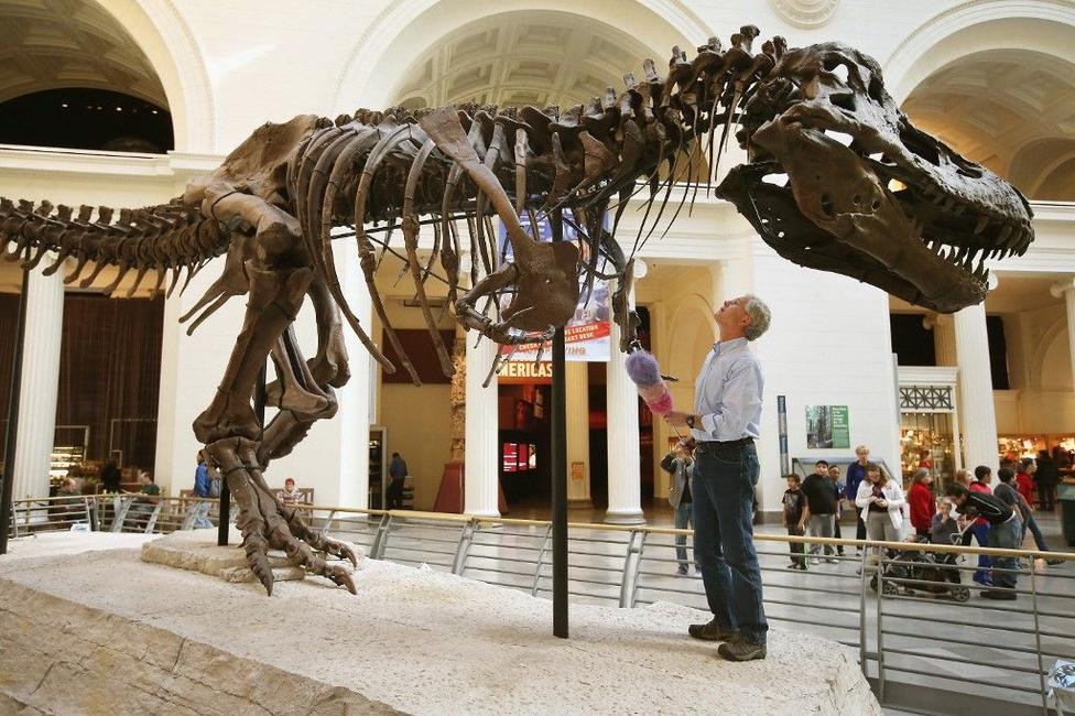dinosaure musée t-rex AFP