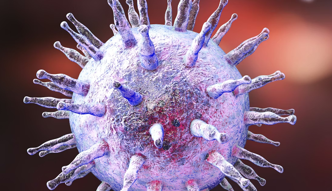 Une illustration 3D du virus d'Epstein-Barr (EBV).