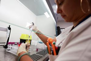 Un technicien de laboratoire effectue un test de dépistage du chikungunya au centre de biologie du CHU de Saint-Denis, à La Réunion.