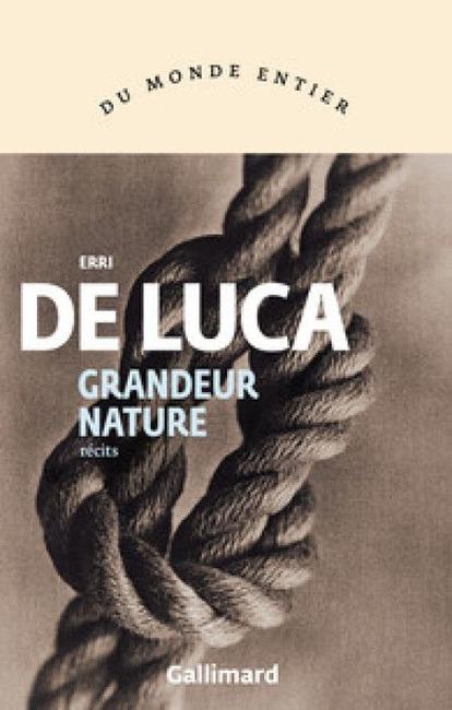 Article cover