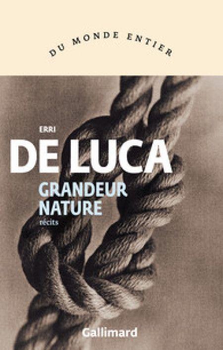 Article cover