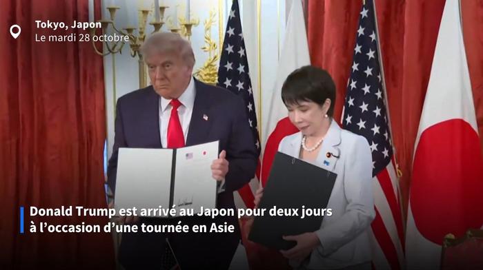 Terres rares : le Japon et les États-Unis signent un accord pour «sécuriser» leurs approvisionnements
