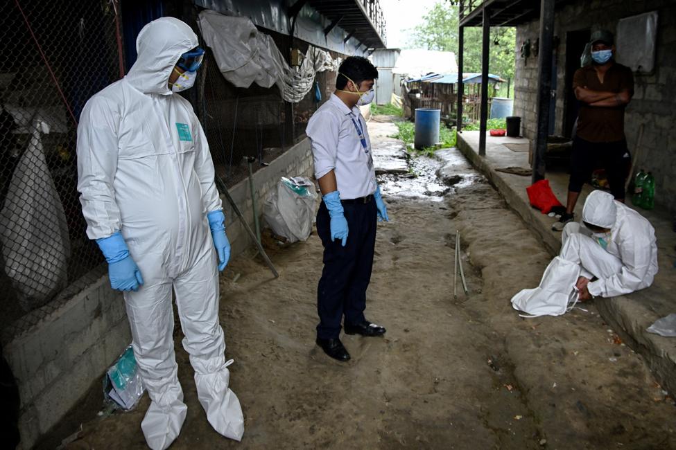 Des travailleurs portent des combinaisons d'équipement de protection individuelle (EPI) avant d'entrer dans une ferme avicole en pleine épidémie de grippe aviaire à Tathali, dans le district de Bhaktapur au Népal, le 1er juillet 2026.