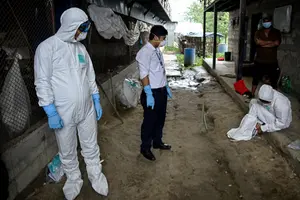 Des travailleurs portent des combinaisons d'équipement de protection individuelle (EPI) avant d'entrer dans une ferme avicole en pleine épidémie de grippe aviaire à Tathali, dans le district de Bhaktapur au Népal, le 1er juillet 2026.