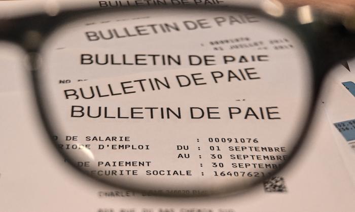 Chaque mois, la fiche de paie est consultée à sa réception par 74 % des actifs salariés, soit en moyenne 15 millions de Français sur les 20 millions d’actifs salariés que compte notre pays.