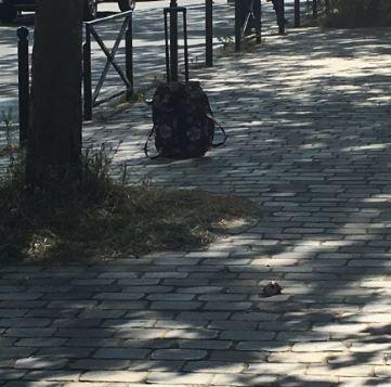 Une valise abandonnée devant l'hôtel des Bleus.