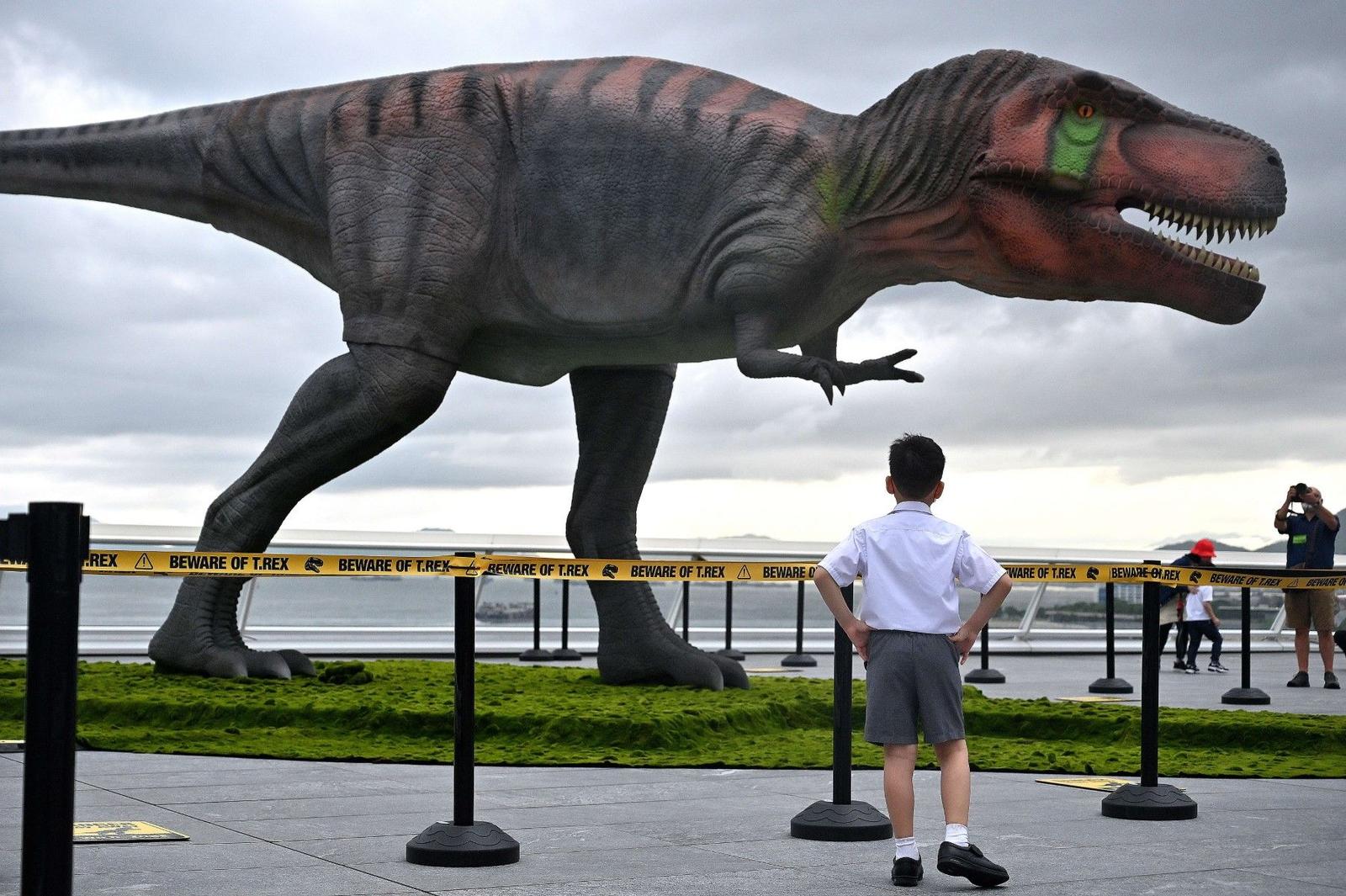 dinosaure AFP
