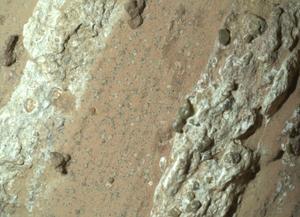 Cette photo, fournie le 10 septembre 2025 par le rover Perseverance de la NASA (JPL-Caltech/MSSS), montre des taches ressemblant à des taches de léopard sur une roche rougeâtre surnommée « Chutes Cheyava », située dans le cratère Jerezo sur Mars en juillet 2024.