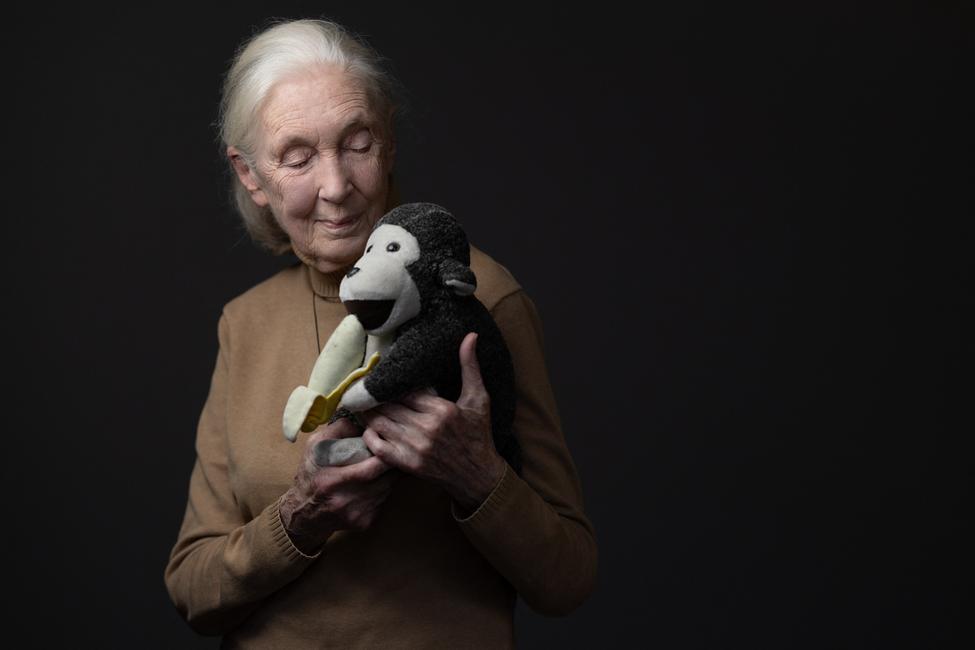 L'éthologue et primatologue britannique Jane Goodall pose avec sa mascotte « Mister H » lors d'une séance photo le 18 octobre 2024 à Paris. (Photo : JOEL SAGET / AFP)