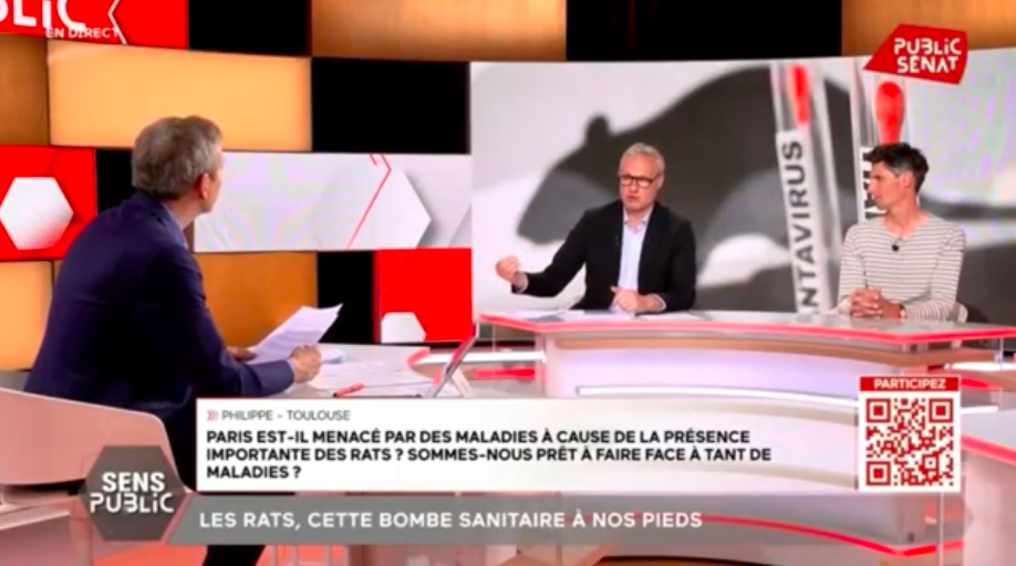 Le Hantavirus révélateur de la méthode Lecornu pour aller plus loin que Matignon...?