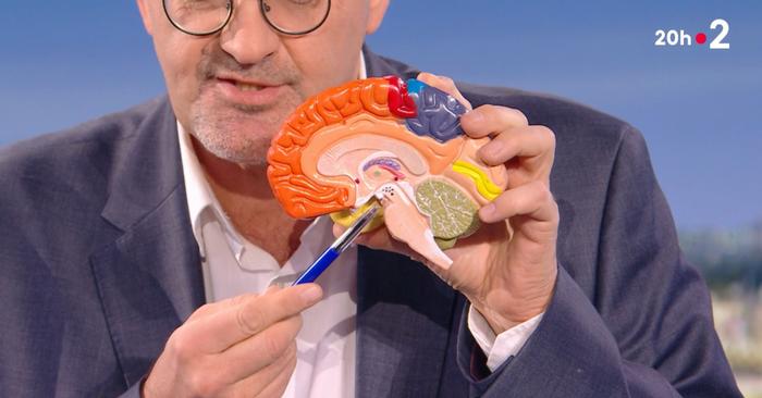 Maladie de Parkinson