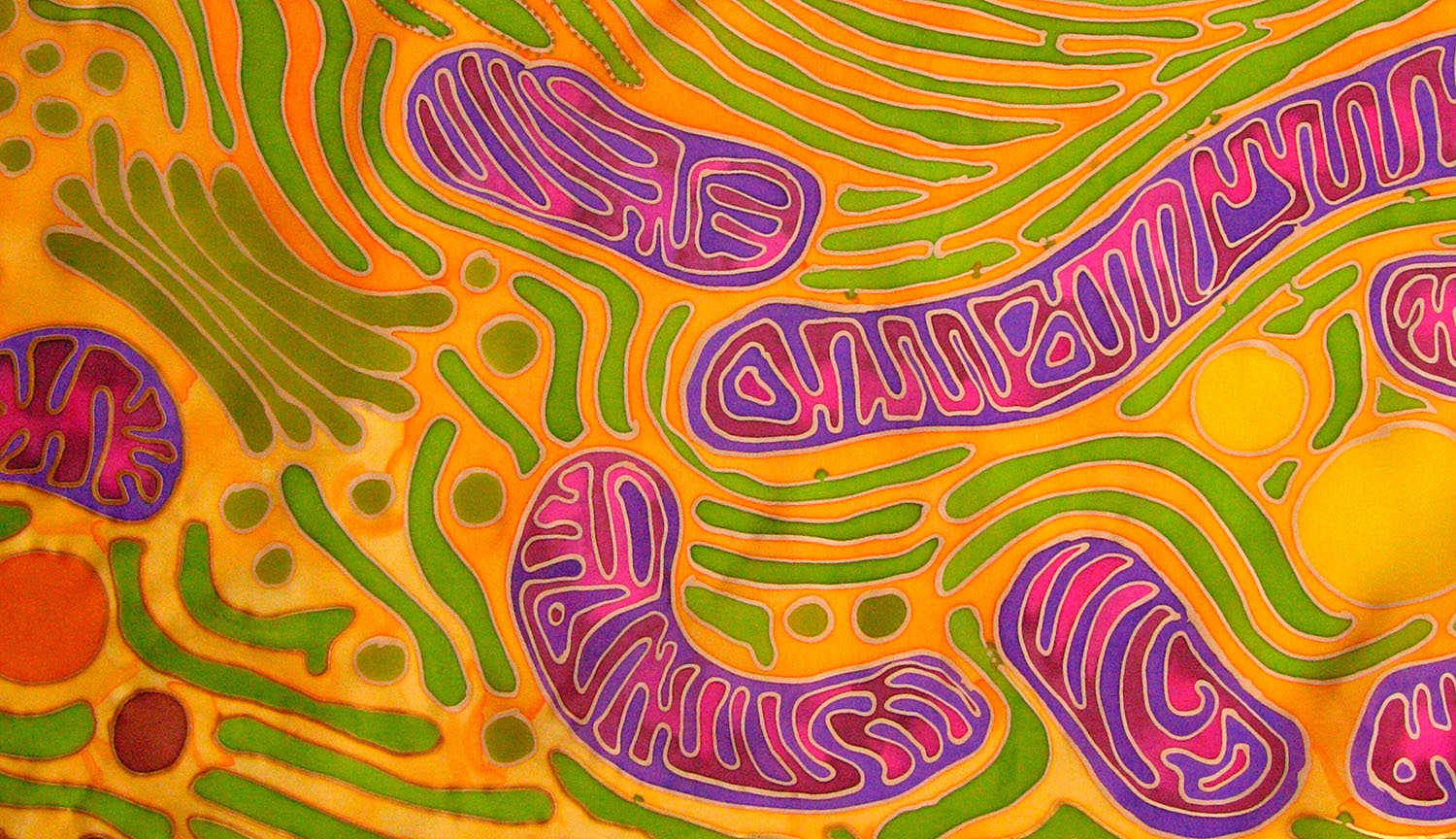 La puissance encore partiellement inexploitée de la mitochondrie pourrait révolutionner la médecine moderne