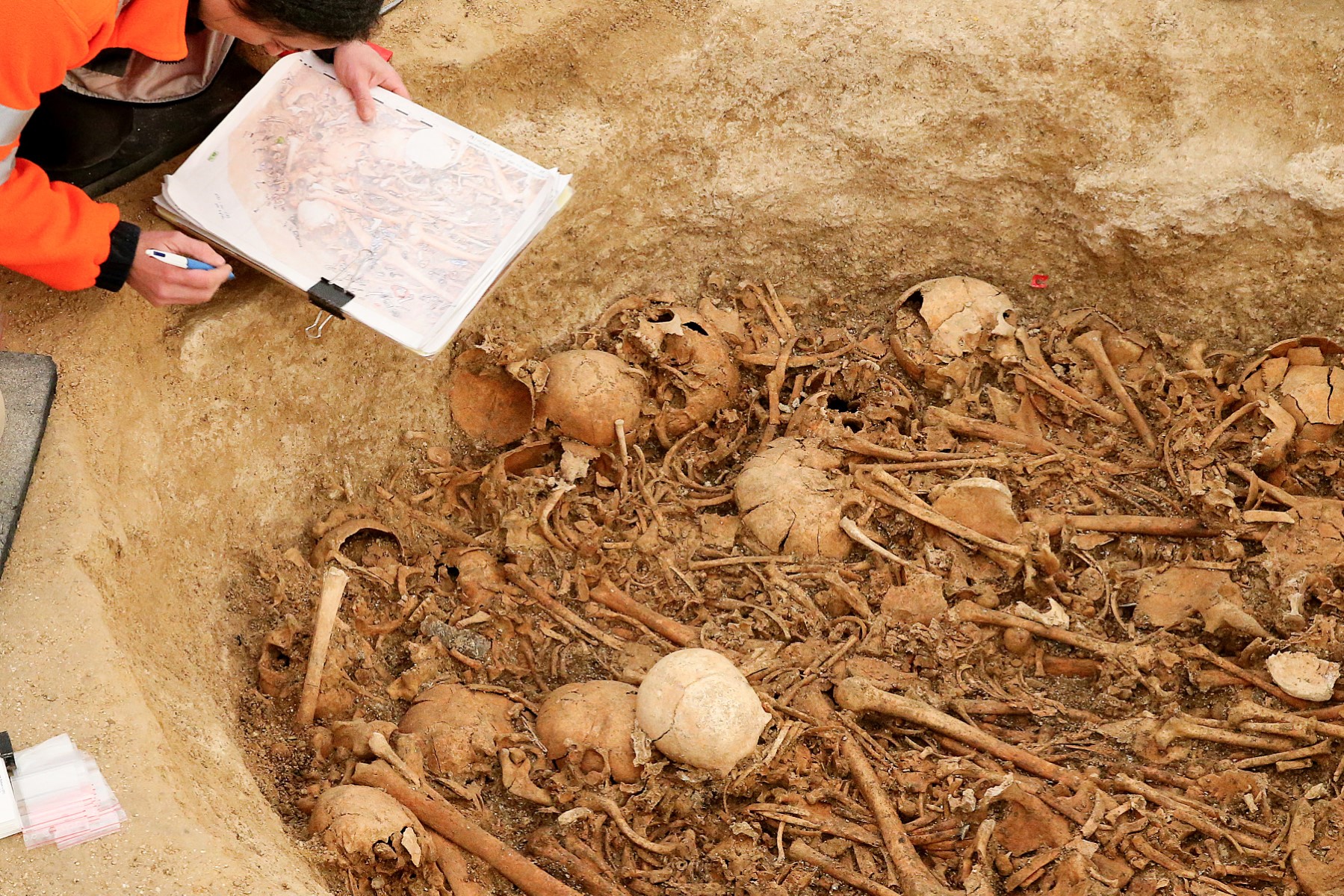 Une peste préhistorique pourrait avoir provoqué un effondrement démographique dans l'Europe de l'âge de pierre