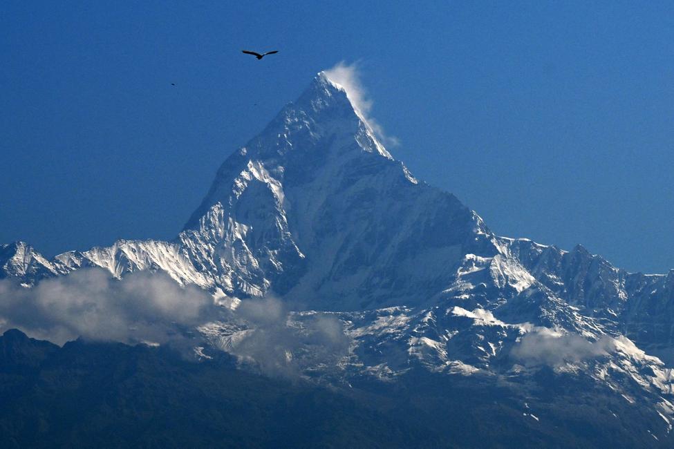 Un oiseau survole le mont Machapuchare et la chaîne de montagnes de l'Annapurna, près de Pokhara, le 7 juin 2025. 