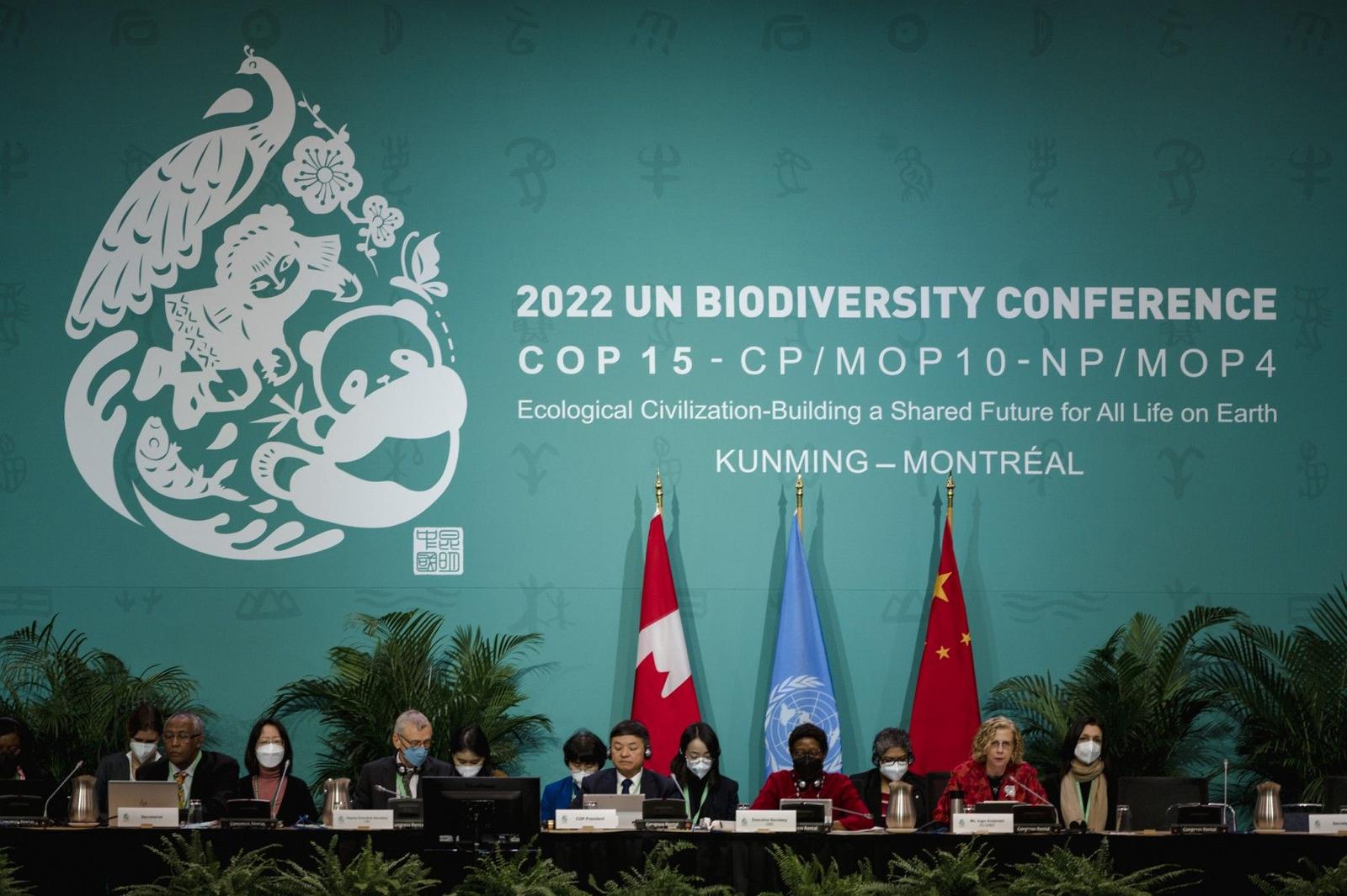 COP 15 2022 AFP