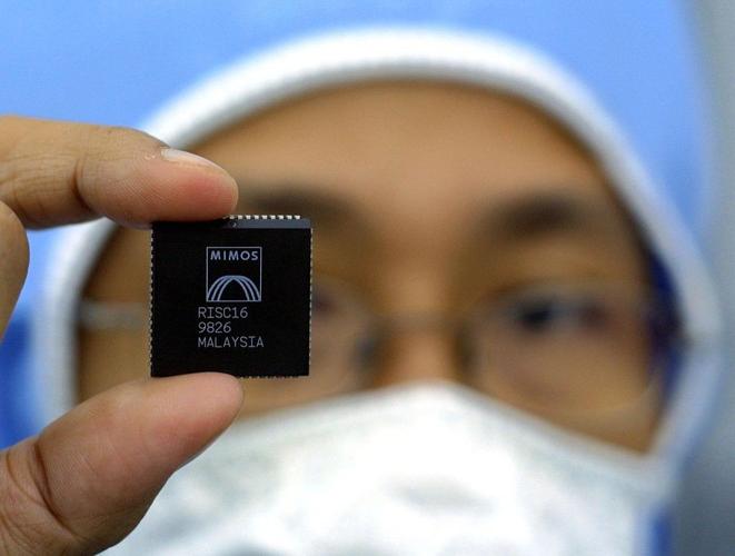 Puce. (Image d'illustration)