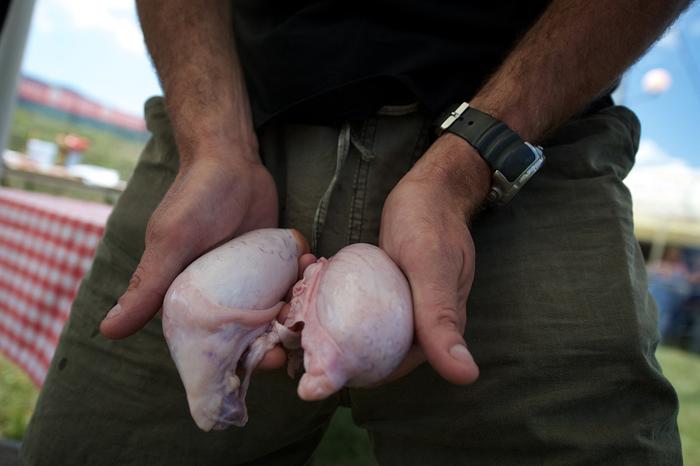 Un cuisinier tient des testicules d’animaux avant de préparer un plat lors d'une édition du Championnat mondial de cuisine de testicules, dans le village serbe de Lunjevica. (Image d'illustration)