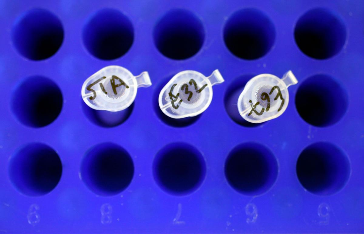 Article cover