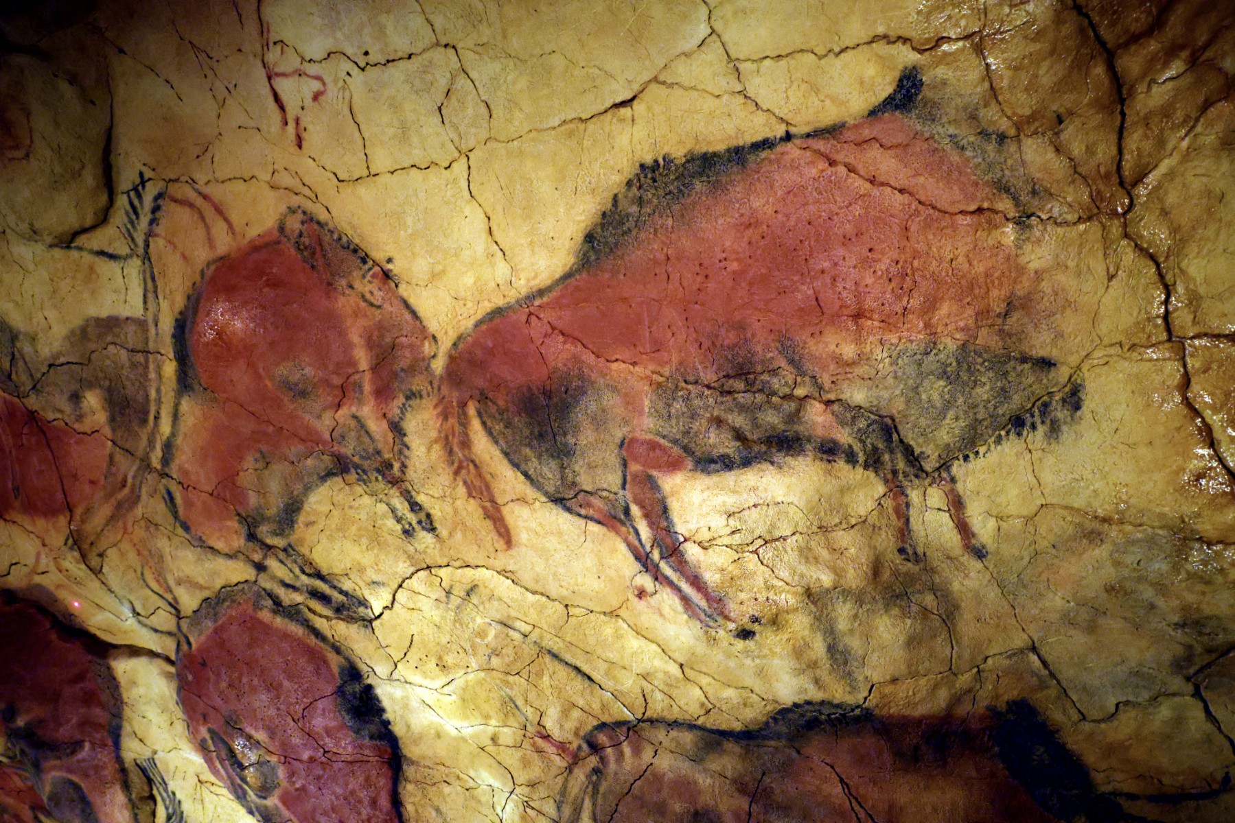 L'ADN issu de peintures rupestres peut-il nous révéler qui étaient les artistes ?