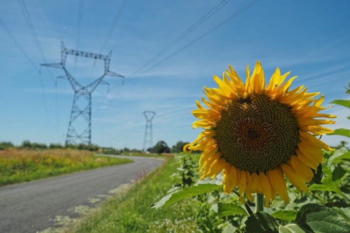 électricité centrale électrice environnement AFP