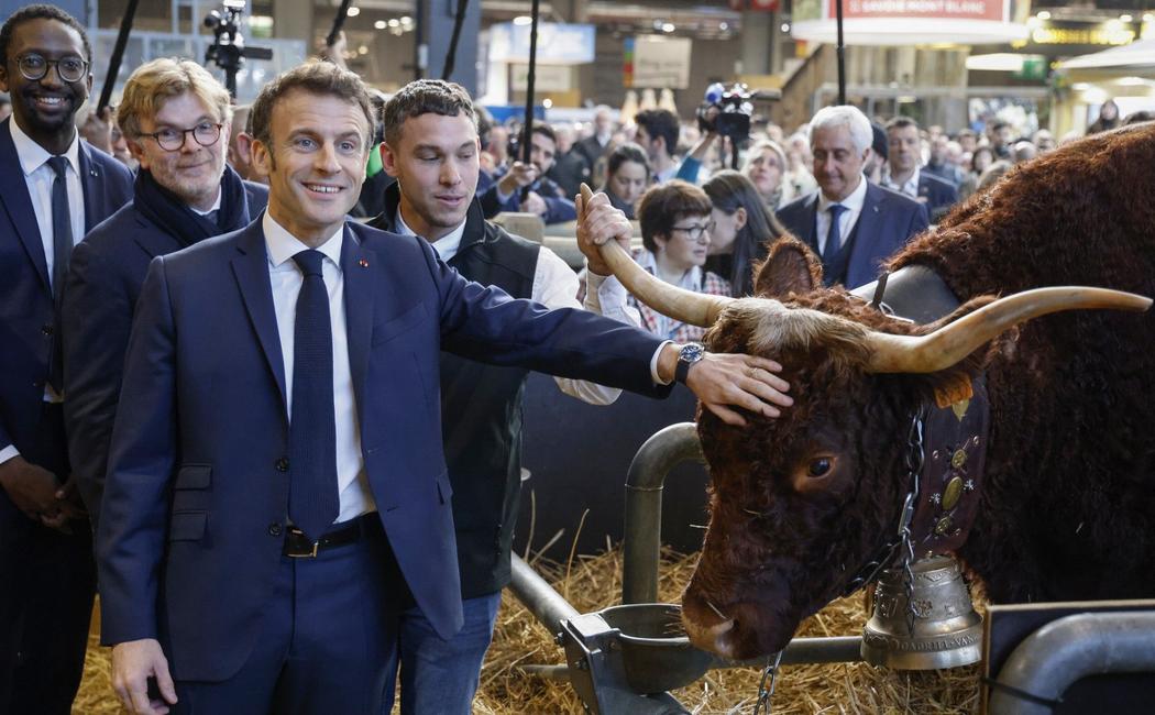 salon de l'agriculture 2023 AFP