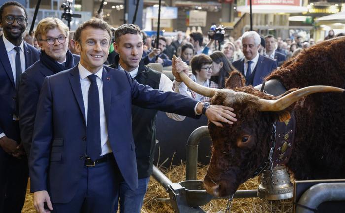 salon de l'agriculture 2023 AFP