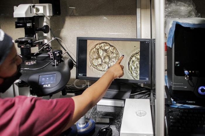 Le premier bébé né d’une “FIV automatisée”, c’est-à-dire assistée par intelligence artificielle, est né au Mexique. (image d'illustration)