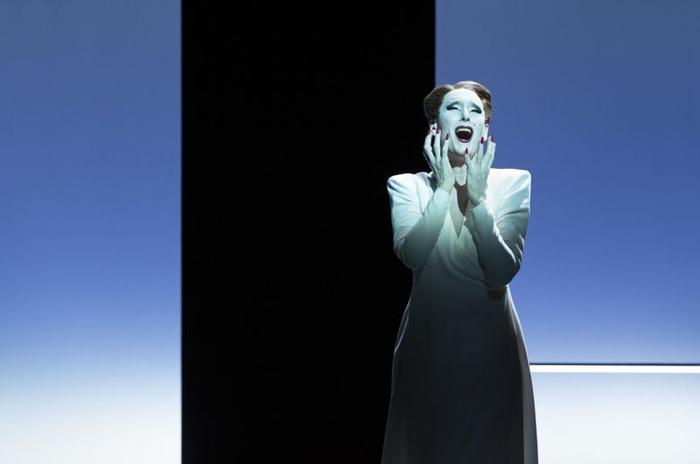 I was sitting on my patio this guy appeared I thought I was hallucinating