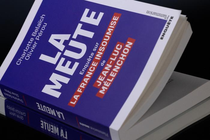 La couverture du livre « La Meute », paru aux Éditions Flammarion