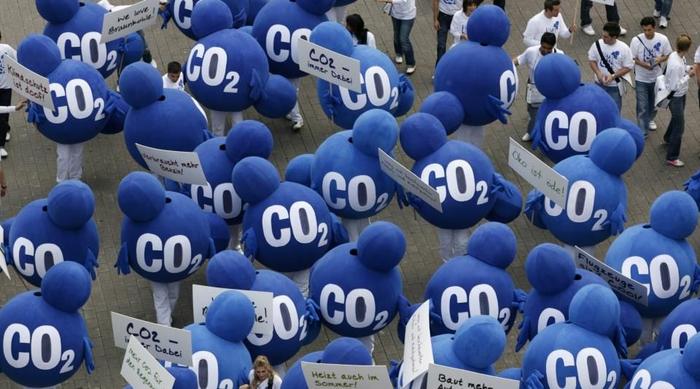 Le CO2 est absorbé à 25% par les océans et à 25% par la végétation. (Image d'illustration)