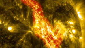Le soleil. (Image d'illustration)