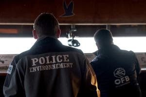 Des agents de l'Office français de la biodiversité (OFB) observent des oiseaux dans la réserve naturelle de Saint-Denis-du-Payre, dans l'ouest de la France, le 27 février 2025. 