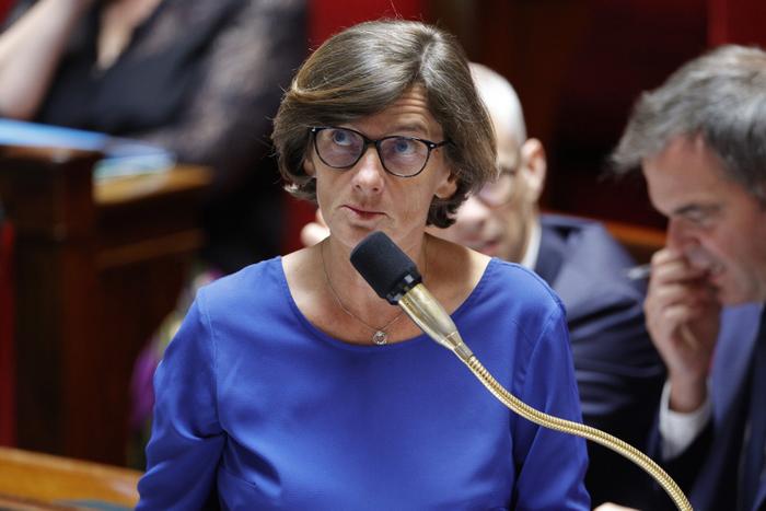Agnès Firmin Le Bodo AFP