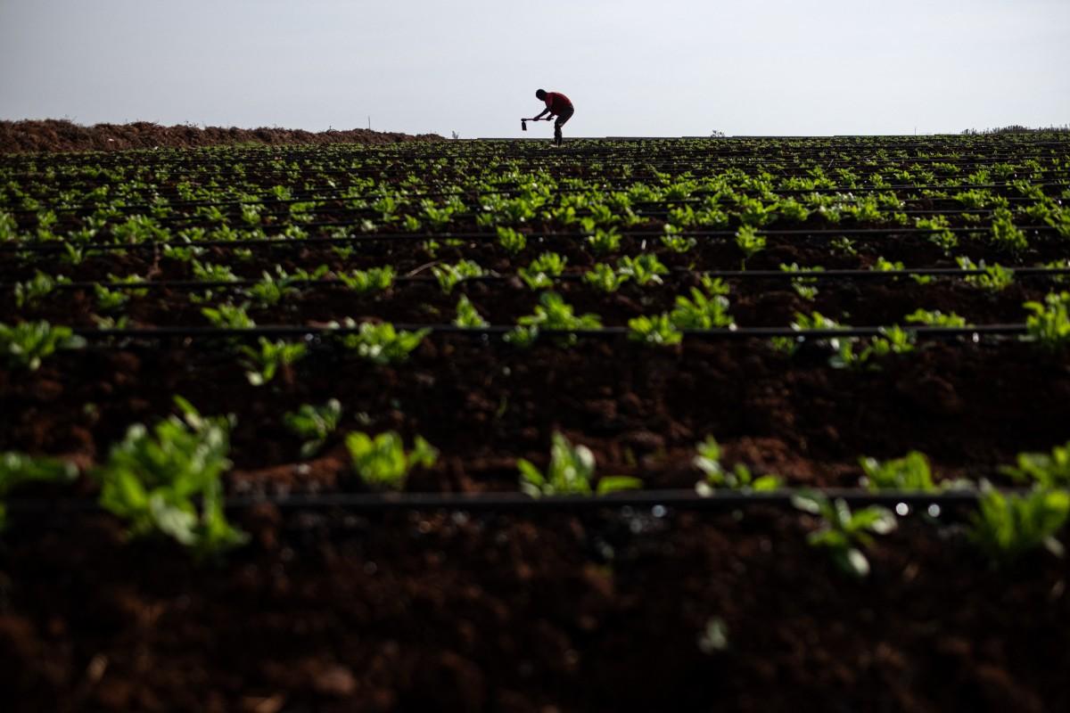 Agriculture.