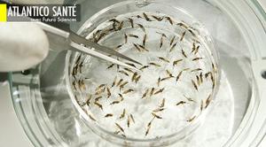 Article cover