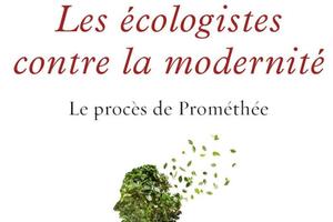 Article cover