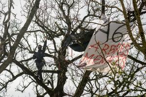 Un militant anti autoroute A69 joue à l'écureuil dans un arbre