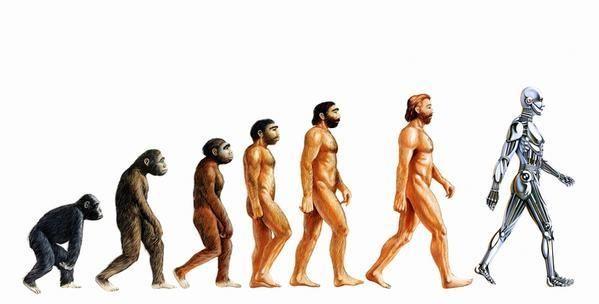 L'Evolution. (Image d'illustration)