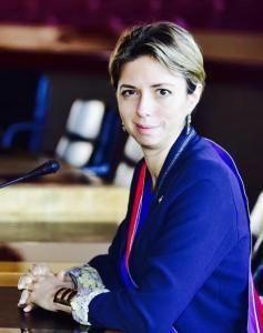 Camille Bedin image