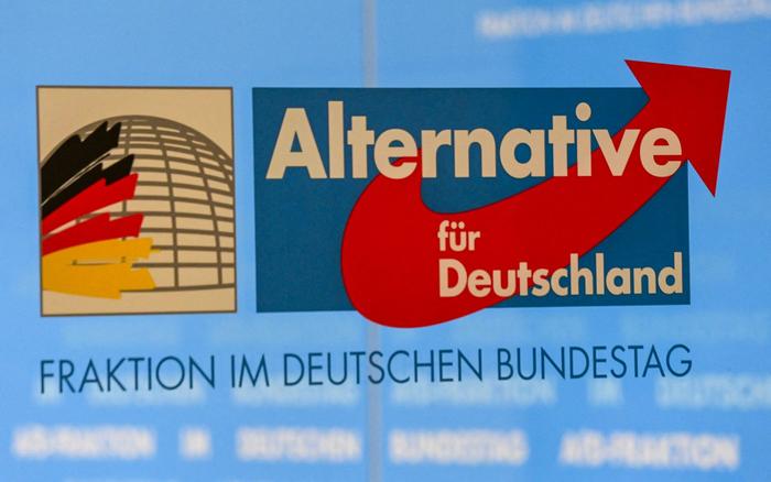 AfD AFP