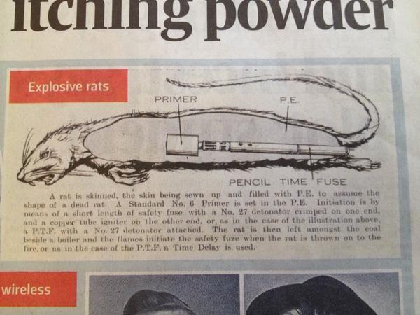 Article cover