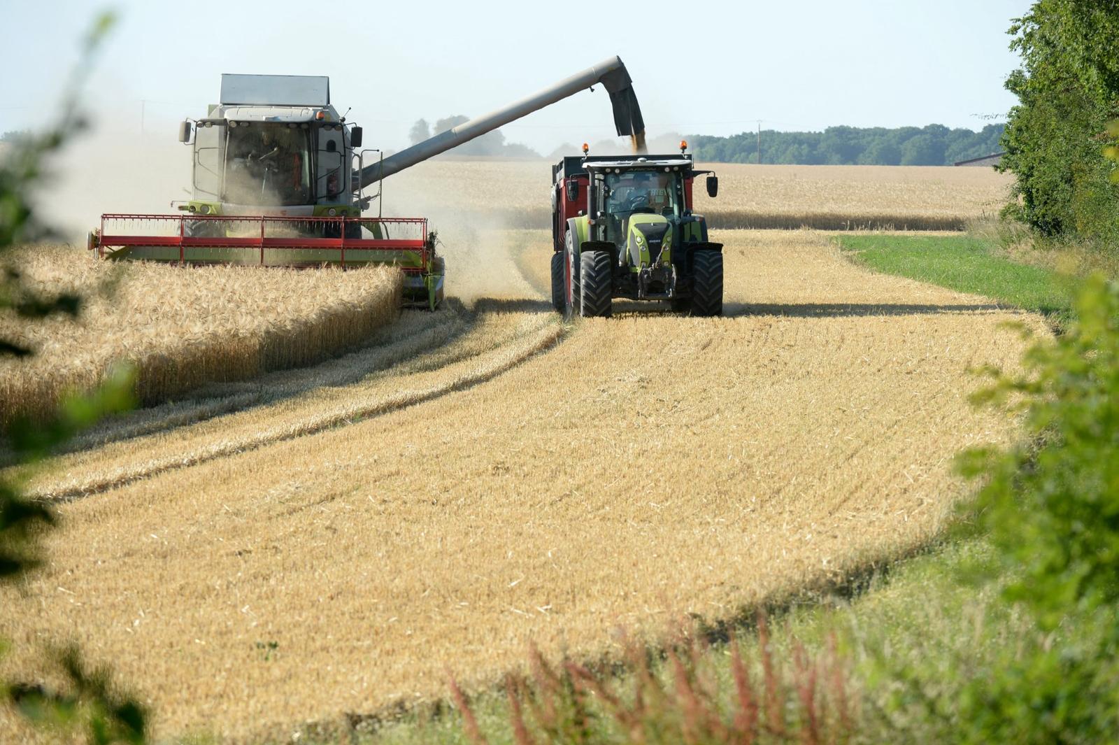 Un agriculteur français récolte de l'orge, près d'Illiers-Combray, dans le centre de la France.