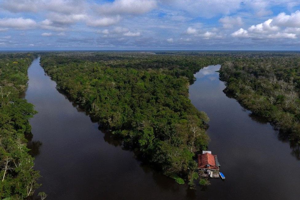 foret amazonnienne - afp