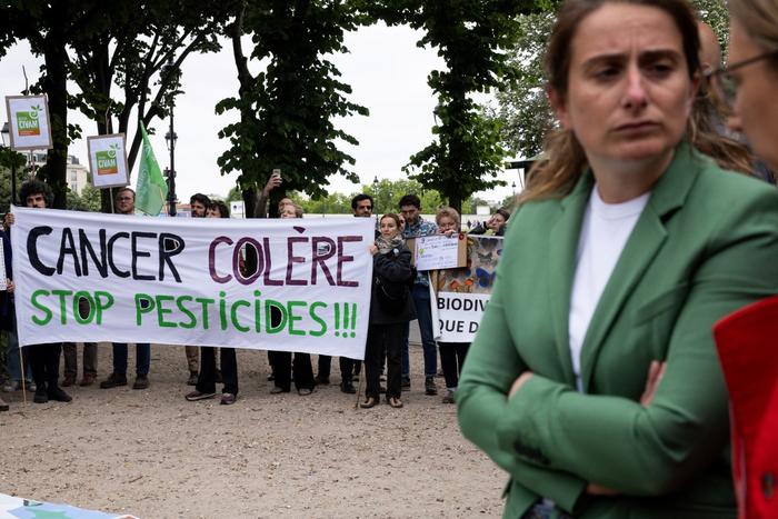 Marine Tondelier, présidente du parti Les Écologistes, se tient devant une banderole sur laquelle on peut lire « Cancer, colère, stop aux pesticides ! » lors d'une mobilisation citoyenne organisée par le collectif Nourrir devant l'Assemblée nationale, place des Invalides, à Paris, le 27 mai 2025, au lendemain du vote par les députés d'une motion de rejet du projet de loi Duplond.